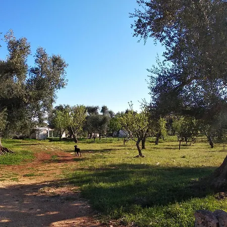 Piccolo Trullo Ostunese Le Jardin De Sophie' Apartment