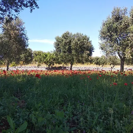 Piccolo Trullo Ostunese Le Jardin De Sophie' Ostuni