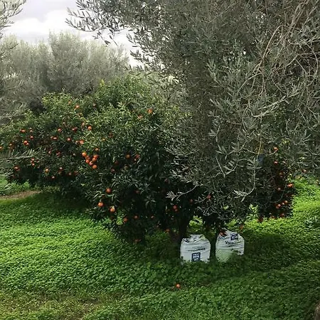 Piccolo Trullo Ostunese Le Jardin De Sophie' Apartment