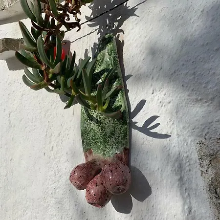 Piccolo Trullo Ostunese Le Jardin De Sophie' Ostuni