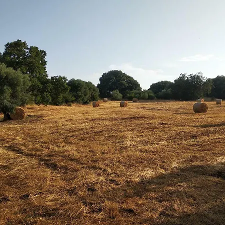 Piccolo Trullo Ostunese Le Jardin De Sophie' Ostuni
