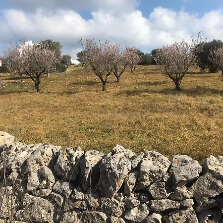 Piccolo Trullo Ostunese Le Jardin De Sophie' Appartamento