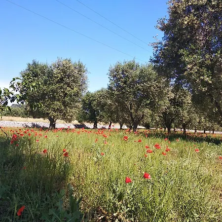Appartamento Piccolo Trullo Ostunese Le Jardin De Sophie' Ostuni